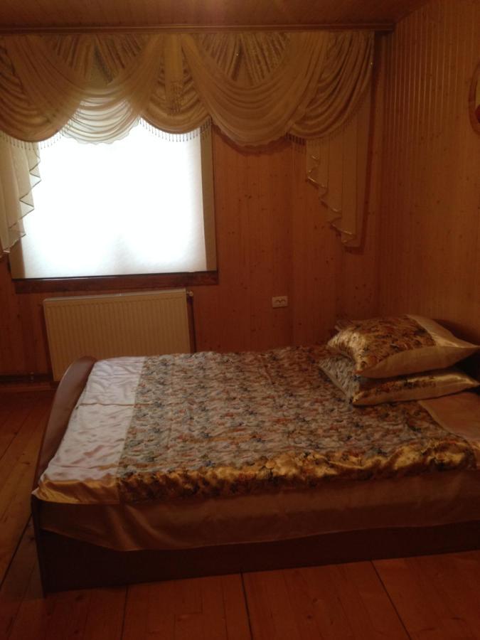 Карпатська Перлина Lejlighed Iltsi Eksteriør billede