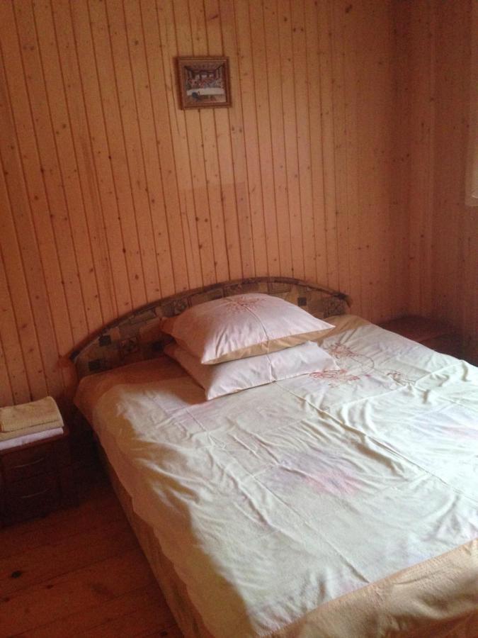 Карпатська Перлина Lejlighed Iltsi Eksteriør billede